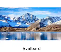 svalbard book cover image