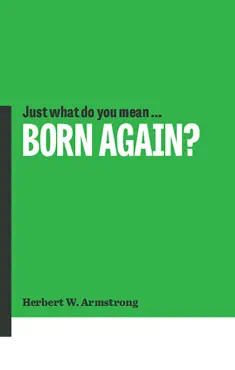 just what do you mean born again? book cover image