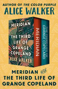meridian and the third life of grange copeland book cover image