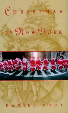 christmas in new york book cover image