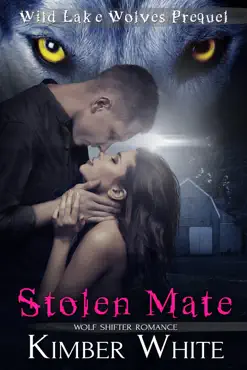stolen mate book cover image