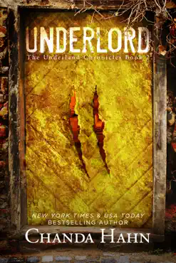underlord book cover image