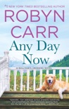 Any Day Now book summary, reviews and downlod
