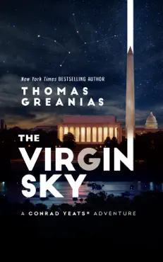the virgin sky book cover image