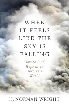 when it feels like the sky is falling book cover image