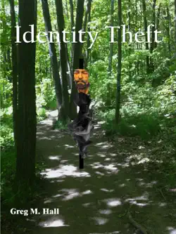 identity theft book cover image