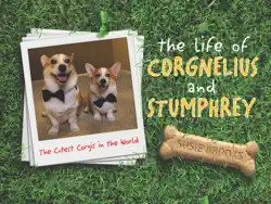 the life of corgnelius and stumphrey imagen de la portada del libro