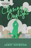Chasing Daylight synopsis, comments