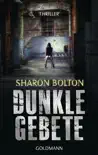 Dunkle Gebete - Lacey Flint 1 synopsis, comments