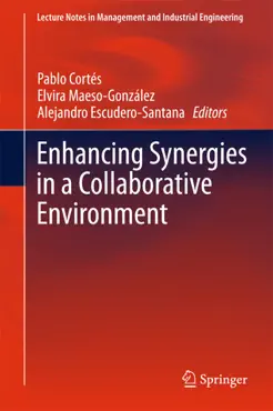enhancing synergies in a collaborative environment book cover image