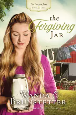 the forgiving jar book cover image