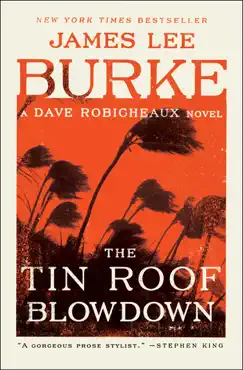 the tin roof blowdown book cover image
