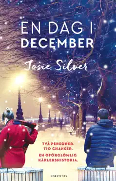 en dag i december book cover image