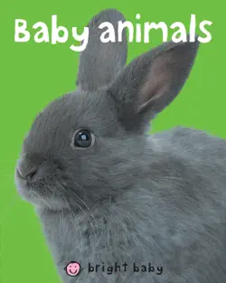 bright baby baby animals book cover image