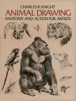 animal drawing book cover image