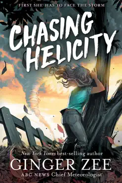 chasing helicity book cover image
