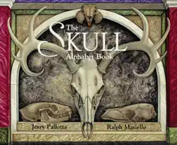 the skull alphabet book book cover image