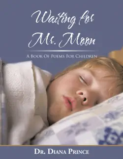 waiting for mr. moon book cover image