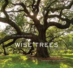 wise trees imagen de la portada del libro