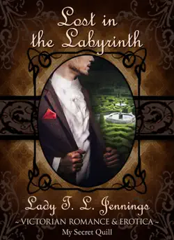 lost in the labyrinth book cover image