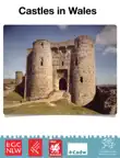 Castles in Wales synopsis, comments