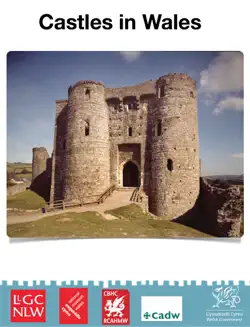 castles in wales book cover image