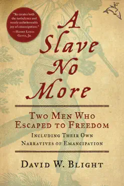 a slave no more book cover image