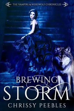 brewing storm book cover image