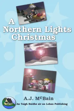 a northern lights christmas book cover image