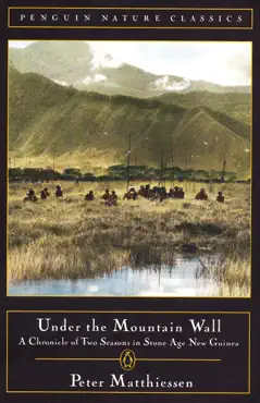 under the mountain wall book cover image