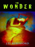 The Wonder book summary, reviews and downlod