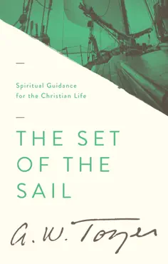 the set of the sail book cover image