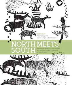 north meets south book cover image