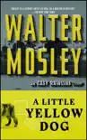 A Little Yellow Dog synopsis, comments