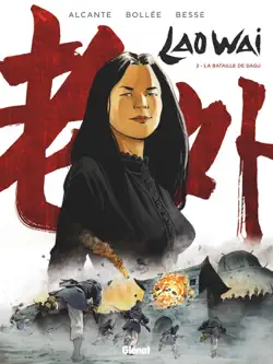 laowai - tome 02 book cover image