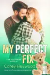 My Perfect Fix synopsis, comments