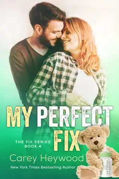 my perfect fix book cover image