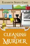 Cleaning is Murder synopsis, comments