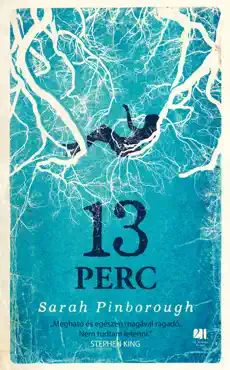 13 perc book cover image