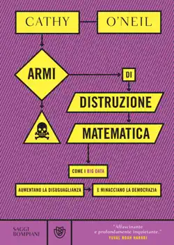 armi di distruzione matematica book cover image
