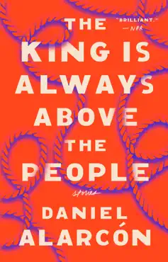 the king is always above the people book cover image