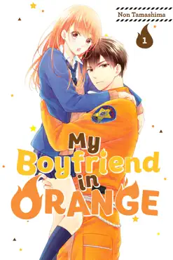 my boyfriend in orange volume 1 book cover image