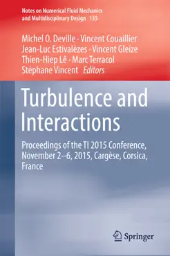 turbulence and interactions book cover image