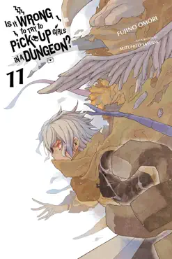 is it wrong to try to pick up girls in a dungeon?, vol. 11 (light novel) book cover image