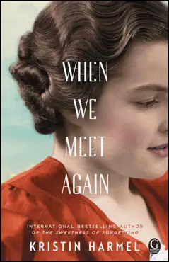 when we meet again book cover image