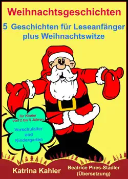 weihnachtsgeschichten book cover image