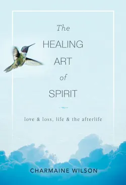 the healing art of spirit book cover image