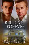Building Forever synopsis, comments