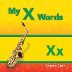 my x words book cover image