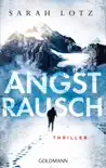 Angstrausch synopsis, comments
